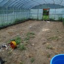 태환농장 이미지