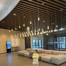 당근스테이 | 제주 신라스테이 플러스 이호테우 오션뷰 객실 '그랜드' 이용 후기