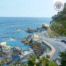 헌화로 Daum카페