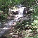 산안개 농장 이미지