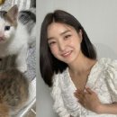 유나펫 이미지