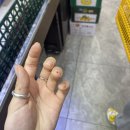 밀린 일상 납부합니다(6-7월)