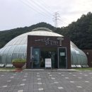 솔향수목원(솔숲광장) 이미지