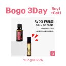 퀸도테라 - 28260 | 퀸도테라