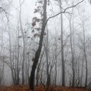 버스정류장 07-496 이미지