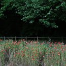 우리주차장 이미지