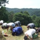 자작시 瞻掃封塋有感(첨소봉영유감 : 벌초 느낌) - 출품자료 이미지