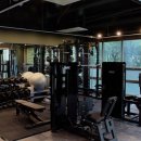 프로원핏 이미지