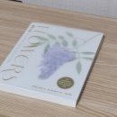 당신의 꽃그림 보테니컬 아트 | 꽃의 시간 꽃그리기 보태니컬아트 일러스트 꽃그림 그리기 신간도서 책선물 선물하기좋은책