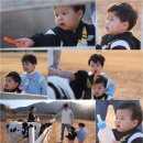 정우목장 이미지