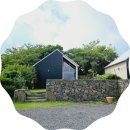 스테이만디 이미지