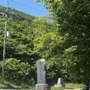 금대봉 대덕산 트레킹 후기, 승우여행사와 다녀온 태백산국립공원 야생화 명소