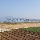 남해-236 이미지