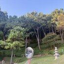 가원약국 이미지