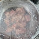 한우영농조합법인맥우 이미지