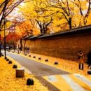 광화문연가 이미지