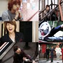 샤이니PC 이미지