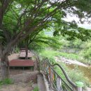 방화동가족휴가촌 자동차야영장 이미지