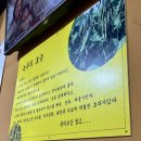 옛날빈대떡(당산점) 이미지