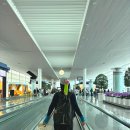 한국 참외 쌀 검역으로 일본으로 가져오기 (인천공항 제2터미널에서 나리타공항)