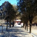 궐리사 화장실 이미지