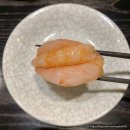 스시카이세이