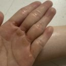 바른약품 | [율무크림 추천] 피부결 개선과 요철 완화에 좋았던 일양약품 반델하우트 스무드율 크림 후기