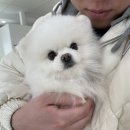 베베꽁 유치원호텔 이미지