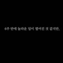 모소(MOSO) 네이버블로그