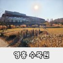 가족나들이 | 수원 영흥수목원 가족나들이 후기와 운영정보 정리