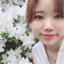 이영자헤어살롱 네이버블로그