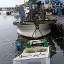 바다메디칼 이미지