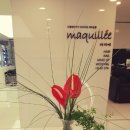 펠리스 헤어&네일 이미지