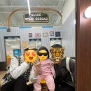 개이발소 | 청주 실내 놀이터 브레드이발소 방문 후기