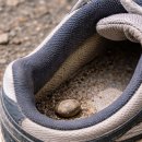 내일정신건강의학과의원 이미지