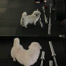 월간또먹쥐_5월호