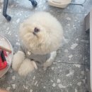 토비네 살롱 이미지