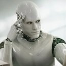 털뭉치들 이미지