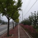 충주천제방길 이미지