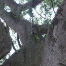 이곡리경로당 이미지