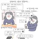 천지PC | 2026 EXO 콘서트 선예매 티켓팅 성공 후기