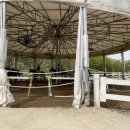 용인씨씨승마클럽 이미지