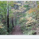 오투(O2) 이미지