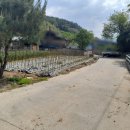 우곡마을회관 이미지