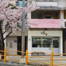 푸른숲미술교습소