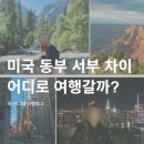 미국상점 | 미국 동부 서부 차이 비교! 어디로 여행가면 좋을까? 미국 거주자 후기