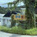 금성면 와룡길 전남 네이버블로그