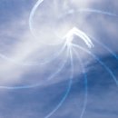 송백로-3 이미지