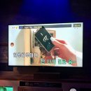 플라워 노래연습장 이미지