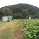 땅벗 공인중개사사무소 이미지